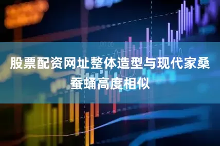 股票配资网址整体造型与现代家桑蚕蛹高度相似